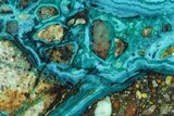 Polished Banded Chrysocolla Slice - Bagdad Mine, Arizona #298421-1